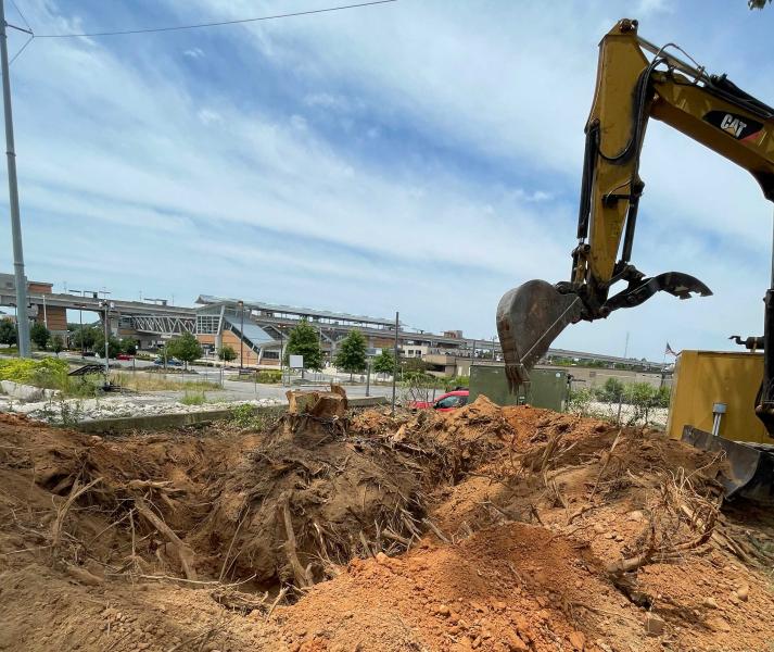 Stump Grinding