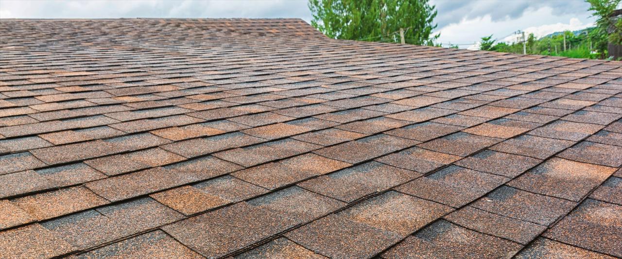 Central Michigan Exterior Washing Services - House Soft Washing