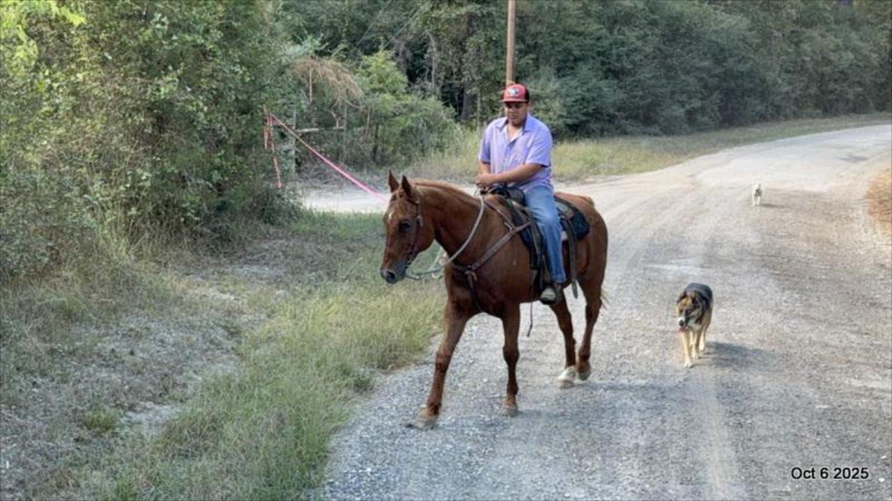 Biggie – Ranch-Tested, Family-Safe, and Ready to Ride!