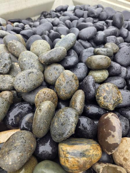 Mexican Pebbles