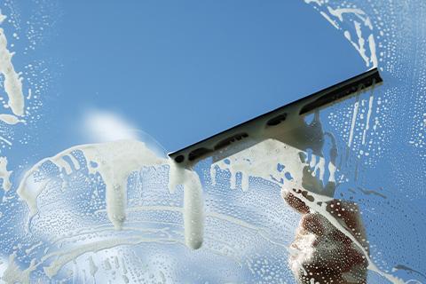 Window Cleaning Exterior (Bottom Level only)