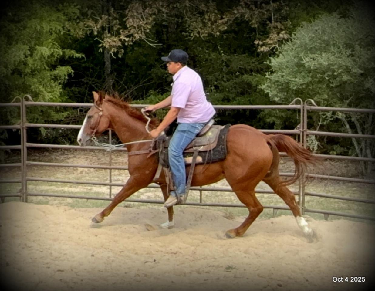 Ranger Safe for All Ages