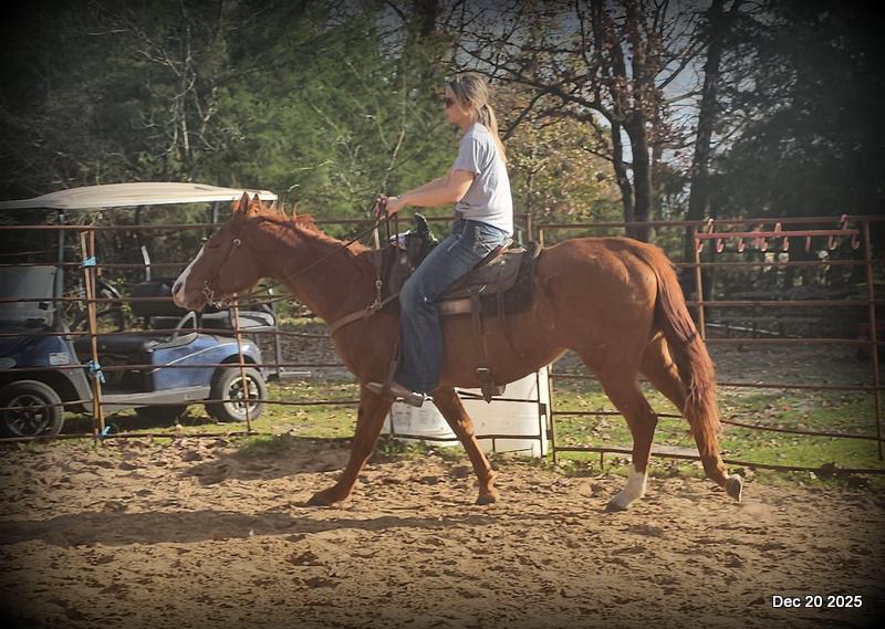 💚Shez Cool and Famous "Cool"💚