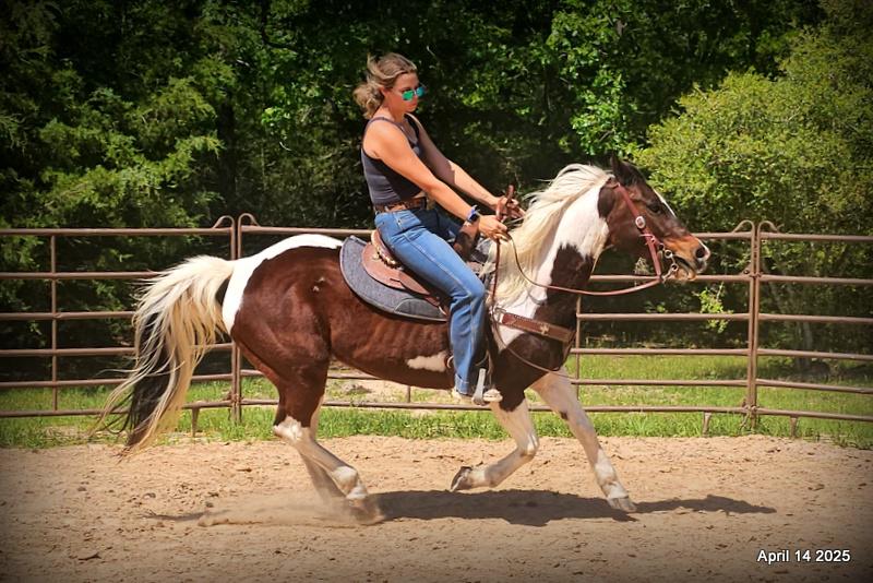Montana – The Picture-Perfect Partner with All the Right Moves