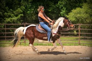 Montana – The Picture-Perfect Partner with All the Right Moves