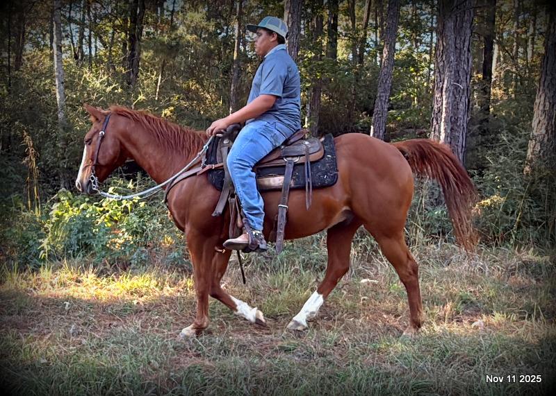 💚Ranger Safe for All Ages💚