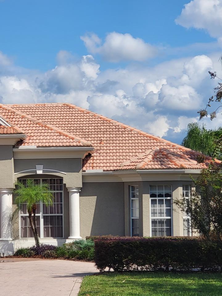 Professional Roof Cleaning&nbsp;