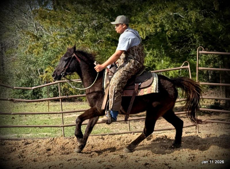 🩷❤️Pixie🩷❤️