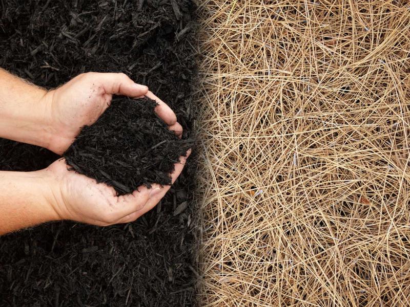 Mulch and Pine Straw