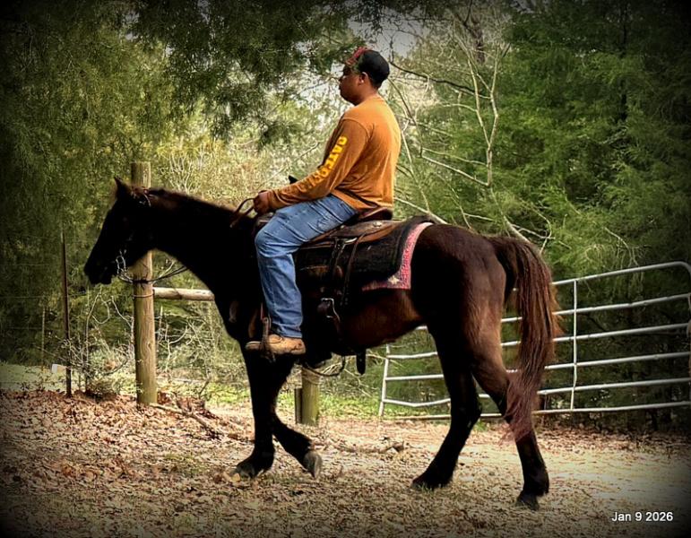 🩷❤️Pixie🩷❤️