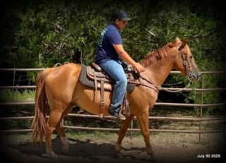 Smart Little Buzz AKA hawk