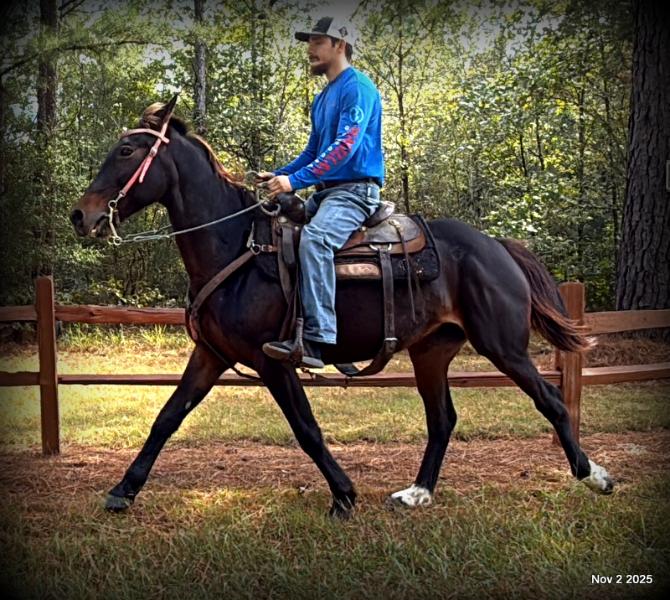 🧡Grace🧡 💔 ✨ The Underdog Who Deserves a Christmas Miracle ✨ 💔
