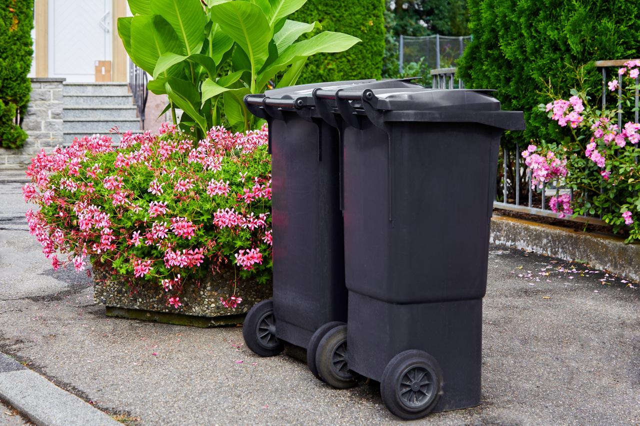 Trash Bin Cleaning