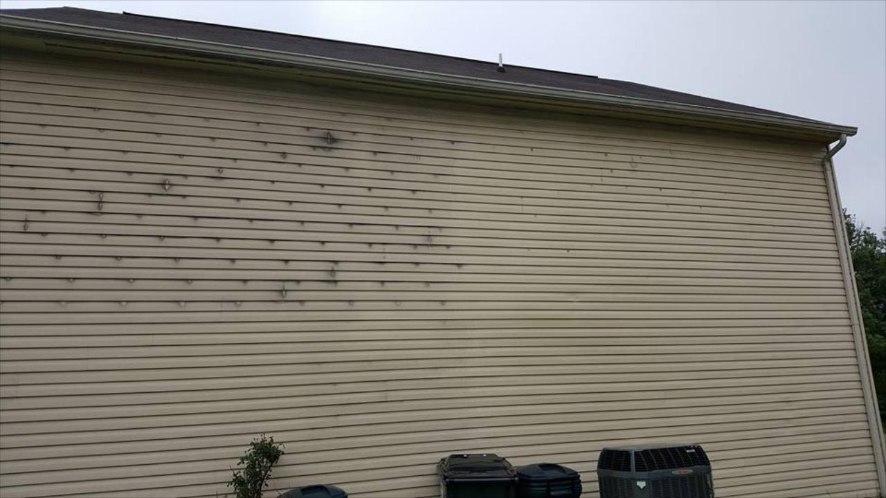 Protect your home from mold and mildew or just help reinvigorate curb appeal