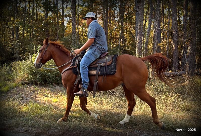 💚Ranger Safe for All Ages💚