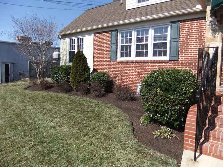 Pruning and Trimming
