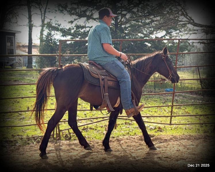 🩷❤️Pixie🩷❤️