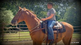 Smart Little Buzz AKA hawk