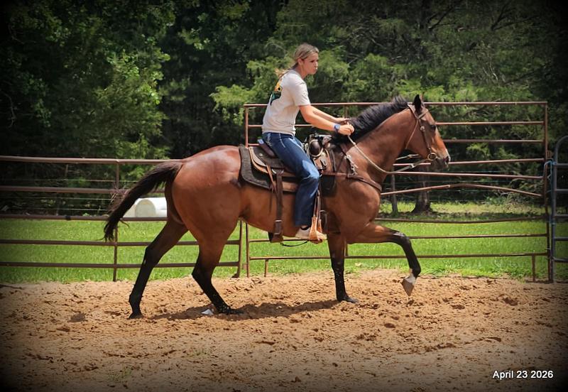 Darylslitlediablo (Diablo)