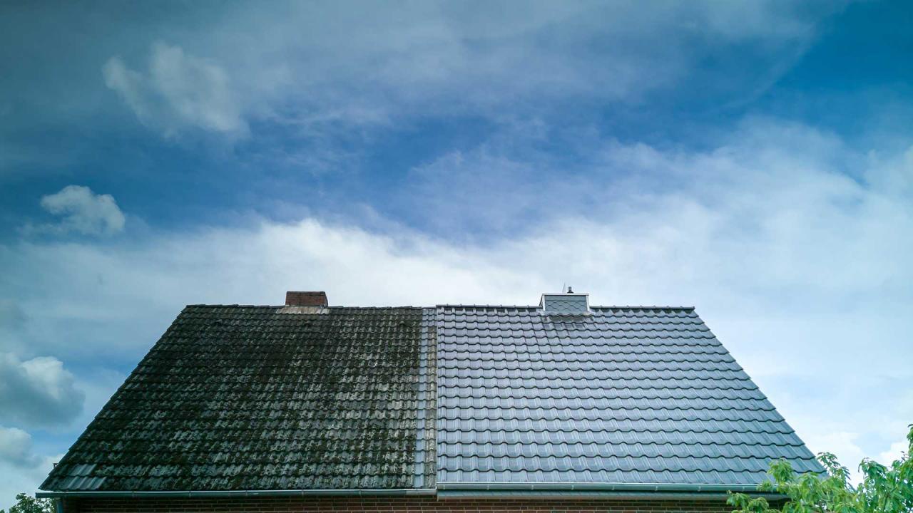 Roof and Gutter Washing