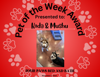 Weekly Spotlight - Koda &amp; Mushu!