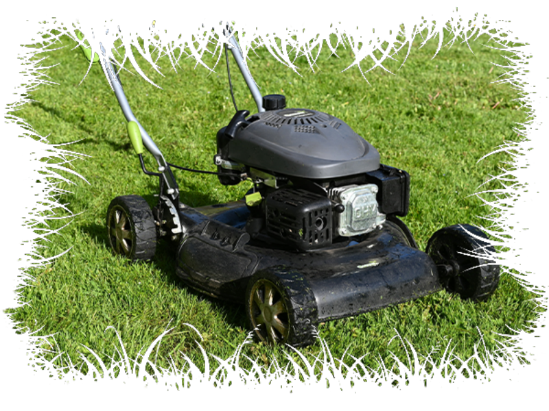 Push mower service