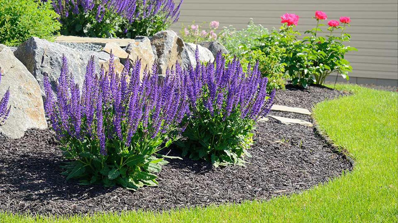 Planting & Mulching