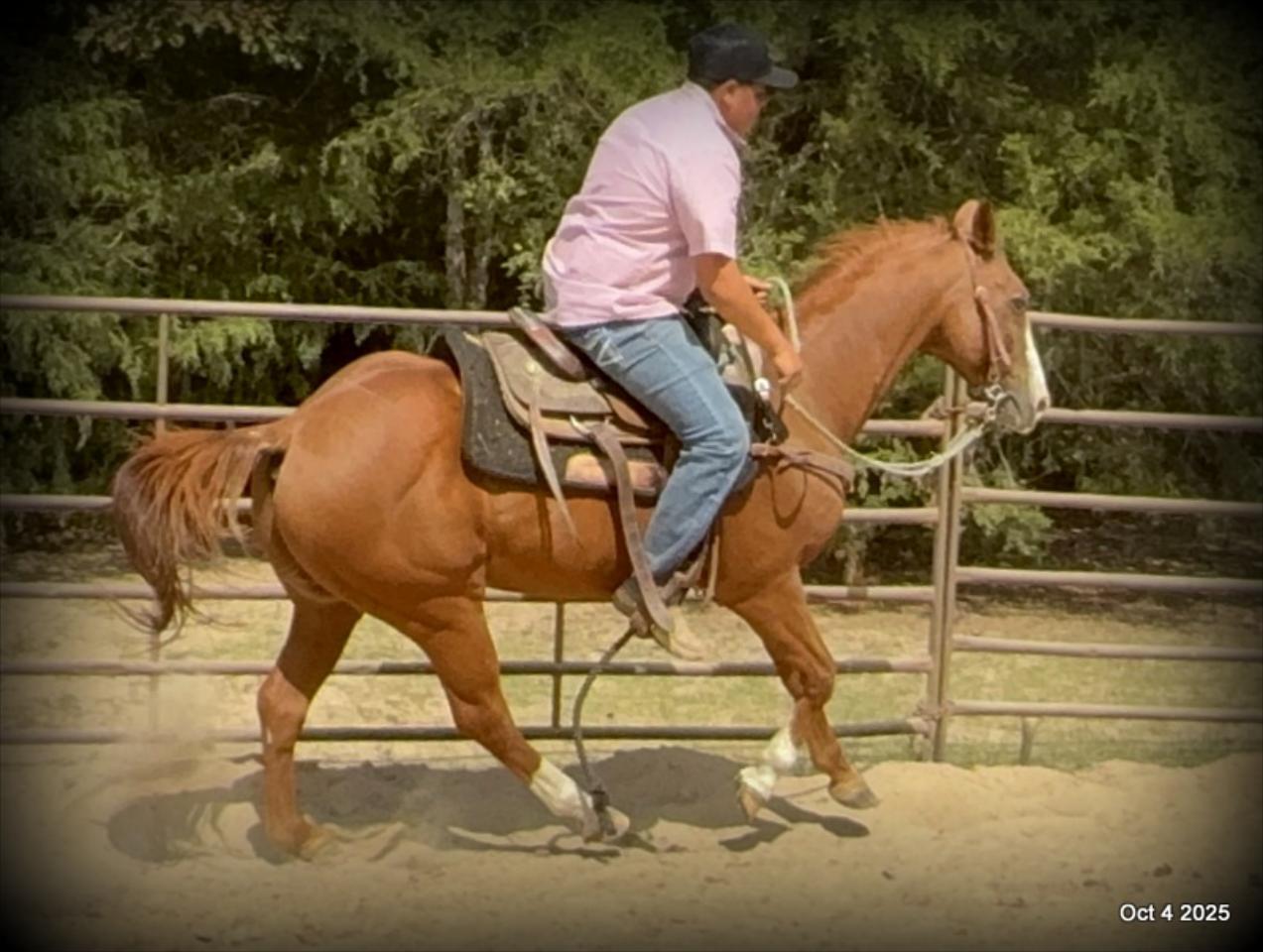 Ranger Safe for All Ages