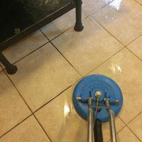 Floor Care & Maintenance