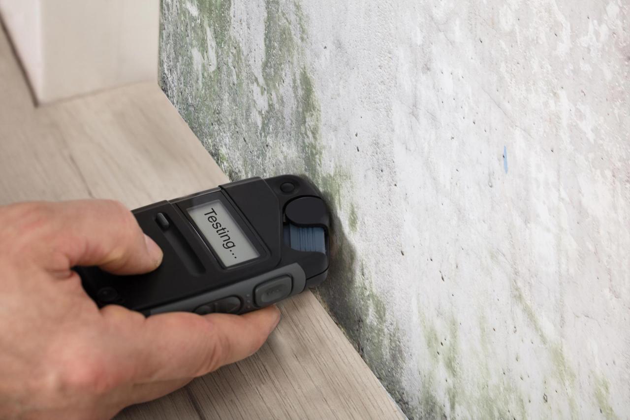 How Do You Know if You Have Mold&nbsp; Damage in Your Home?