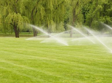 Commercial Irrigation