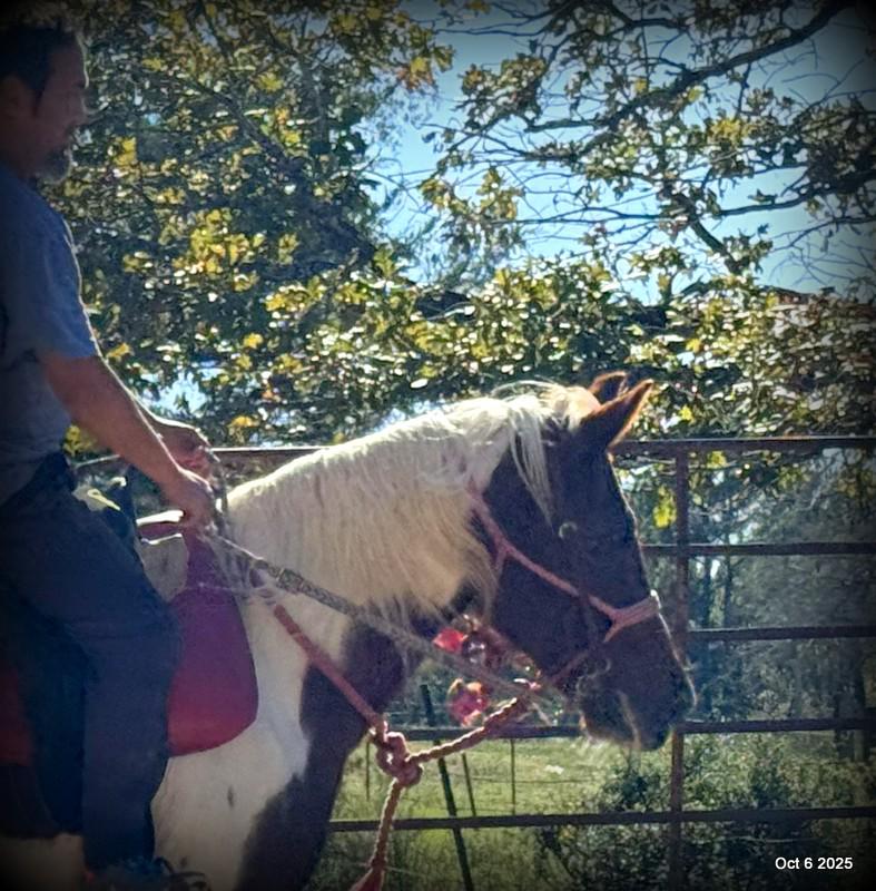 Jazzy – A Warrior Seeking Her Second Chance