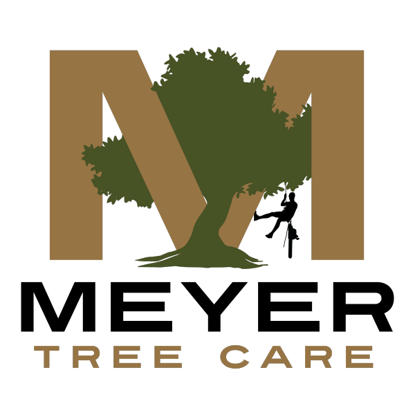 Meyer Tree Care LLC In Oshkosh WI Contact Us