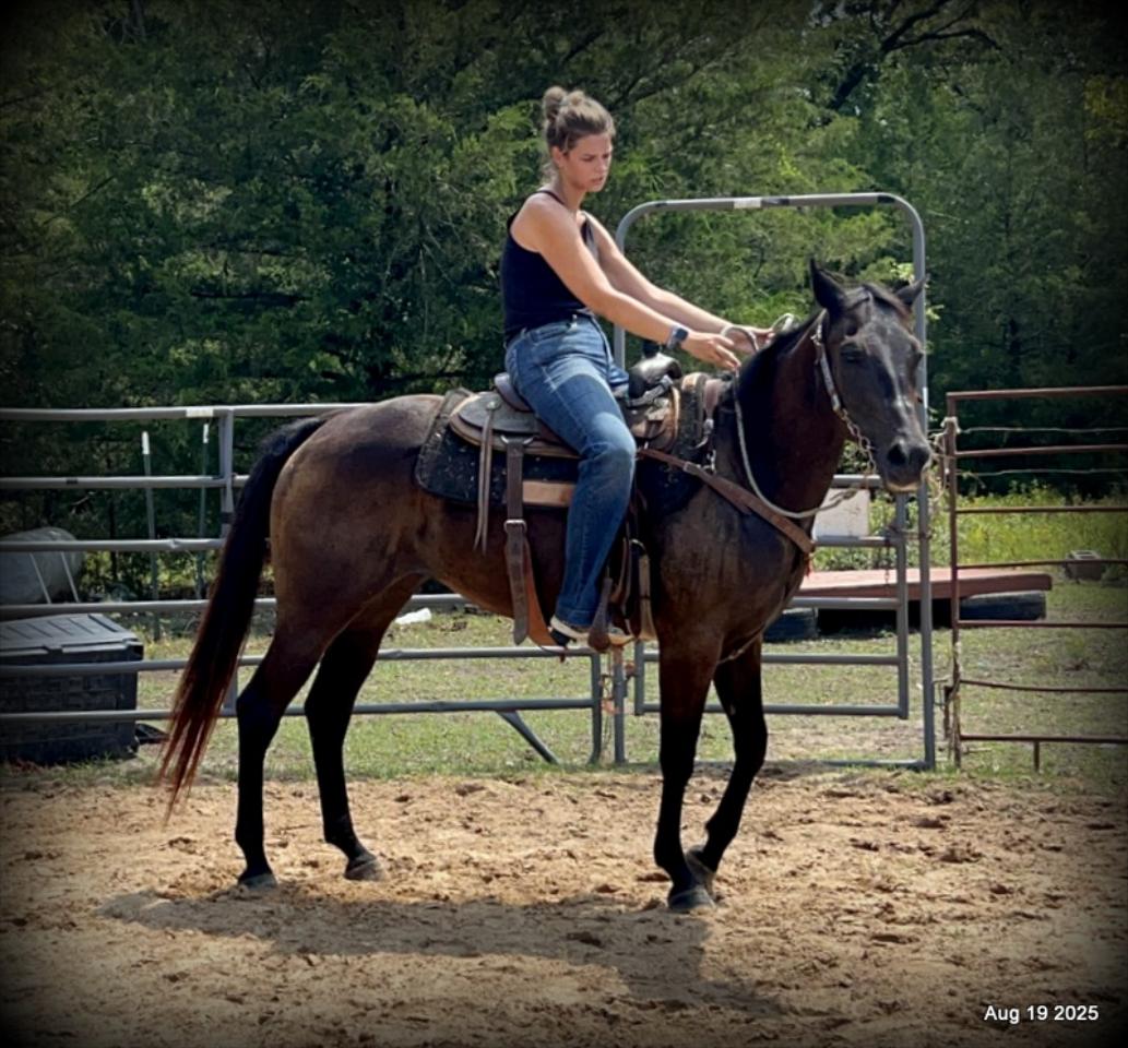 Shadow – The Sweetheart Everyone’s Looking For