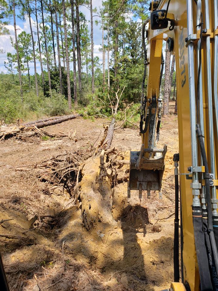 Land Clearing