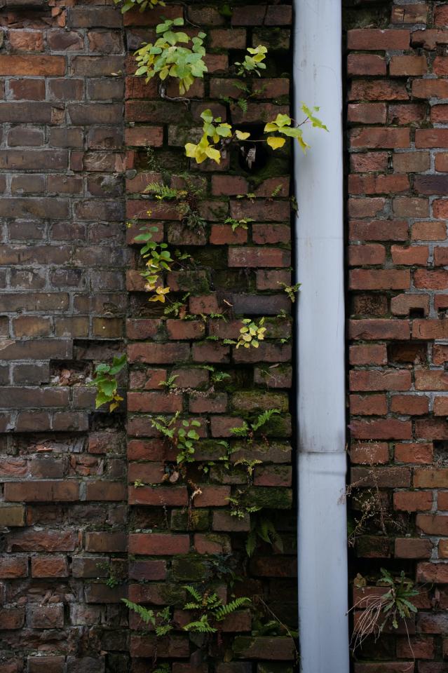 Gutter & Downspout Repair