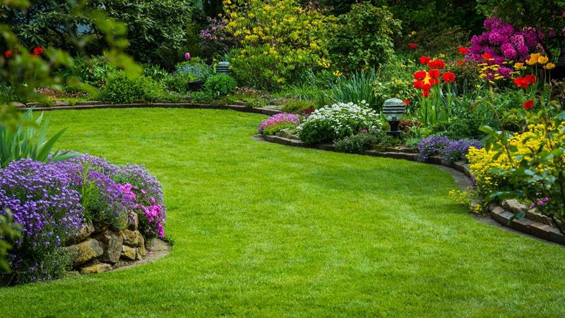 Benefits of Low-Maintenance Lawn Care
