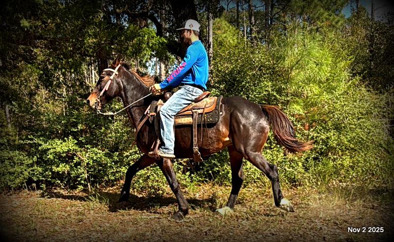 🧡Grace🧡 💔 ✨ The Underdog Who Deserves a Christmas Miracle ✨ 💔