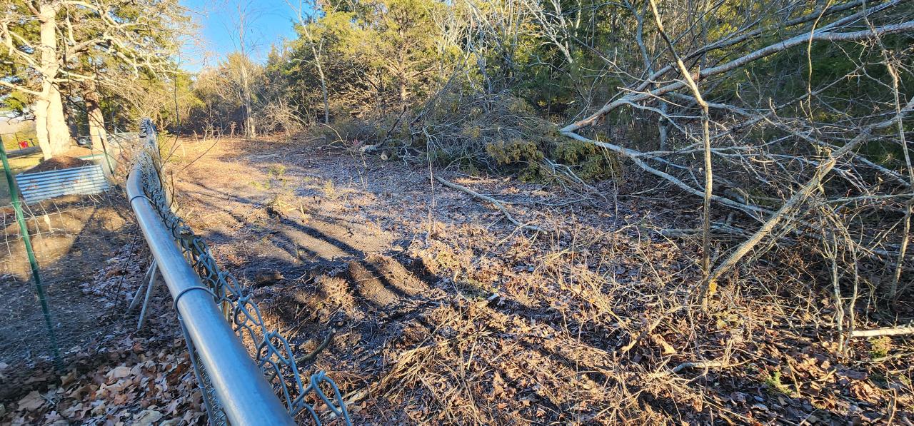 Brush Clearing 