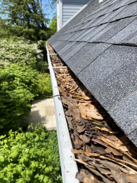 Residential Gutter Cleaning Services