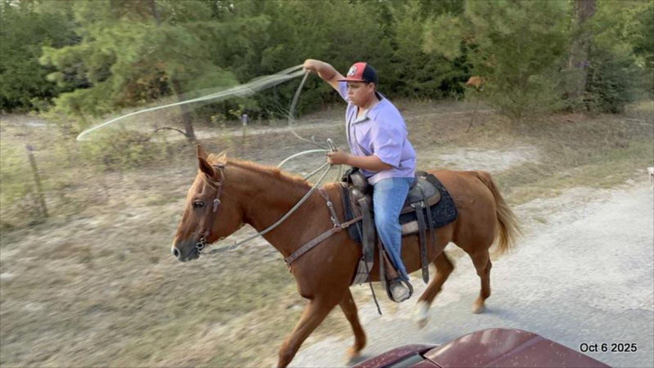 Biggie – Ranch-Tested, Family-Safe, and Ready to Ride!