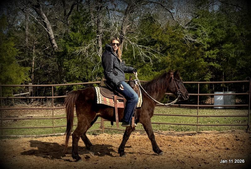 🩷❤️Pixie🩷❤️