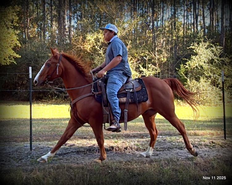 💚Ranger Safe for All Ages💚