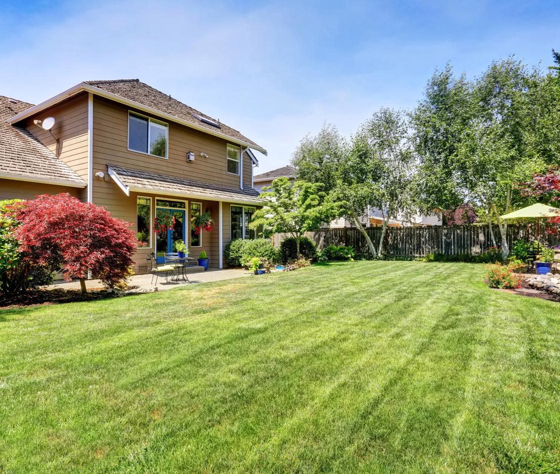 Lawn Care & Mowing
