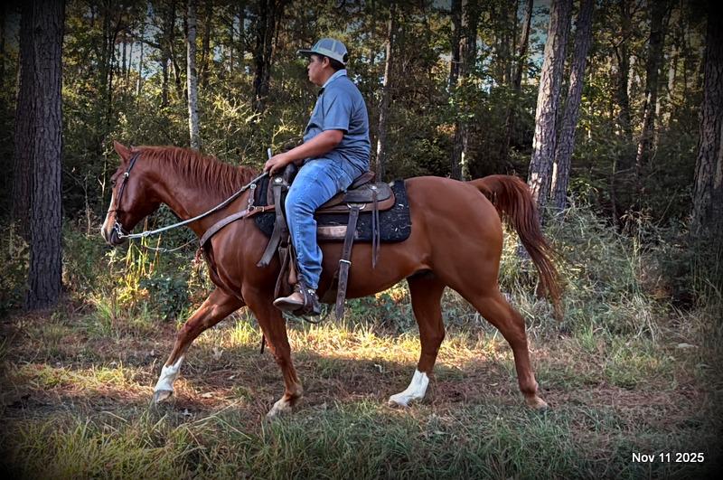 💚Ranger Safe for All Ages💚
