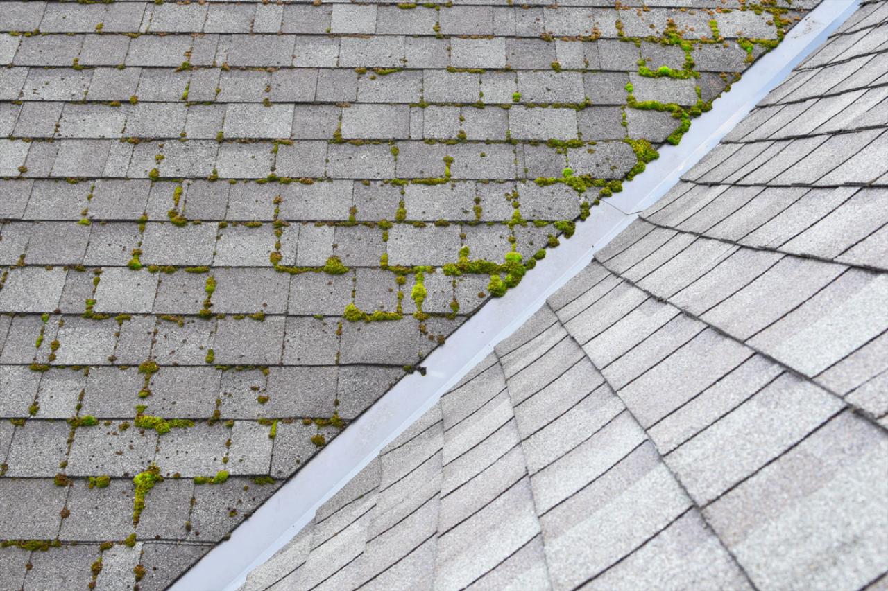 About Roof Moss Treatments