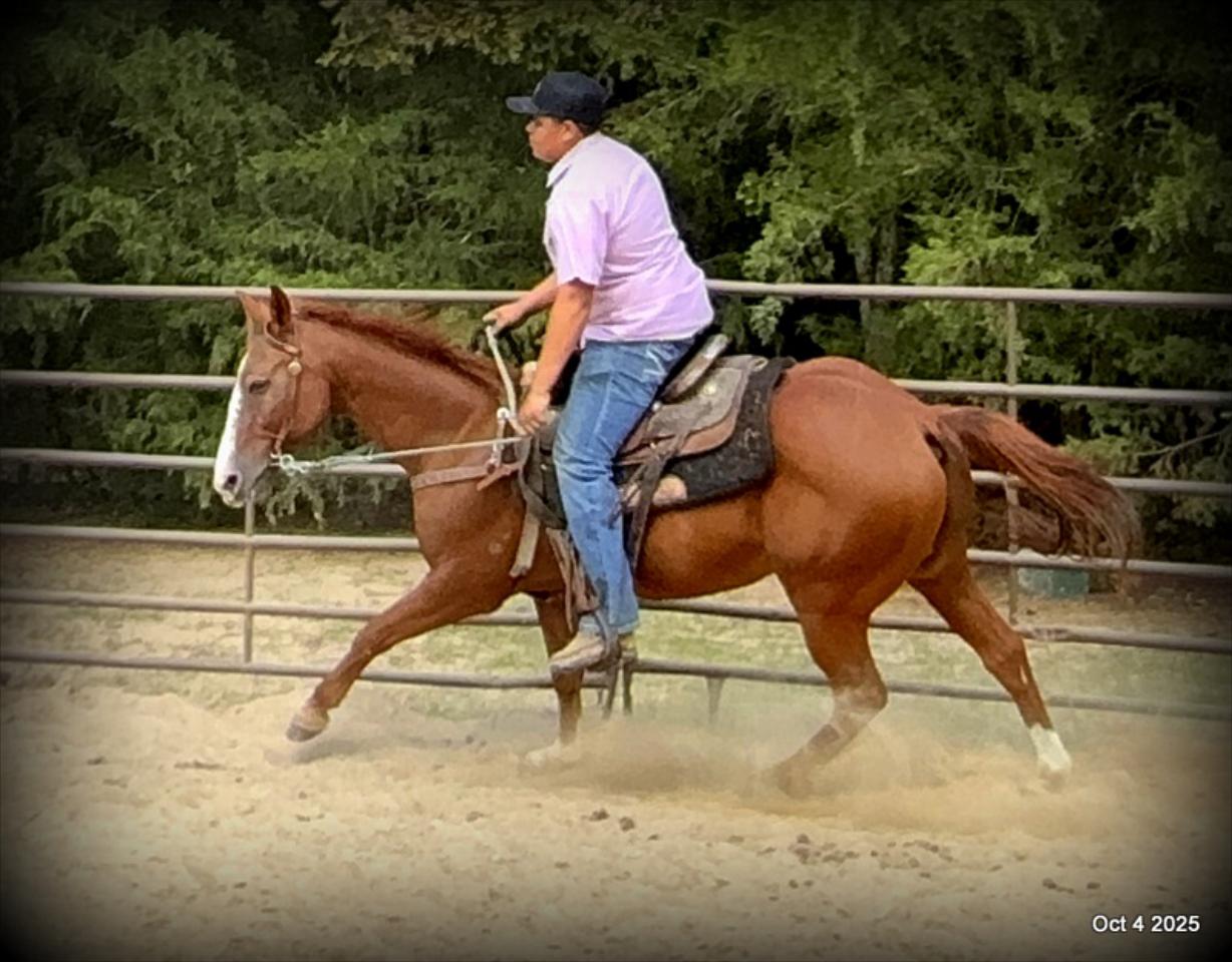 Ranger Safe for All Ages