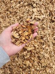 Playground Bark