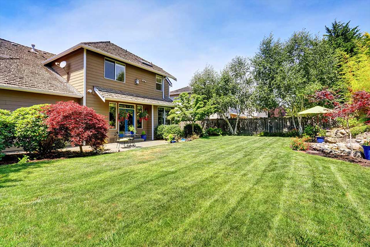 Are you worried about the health and look of your lawn?