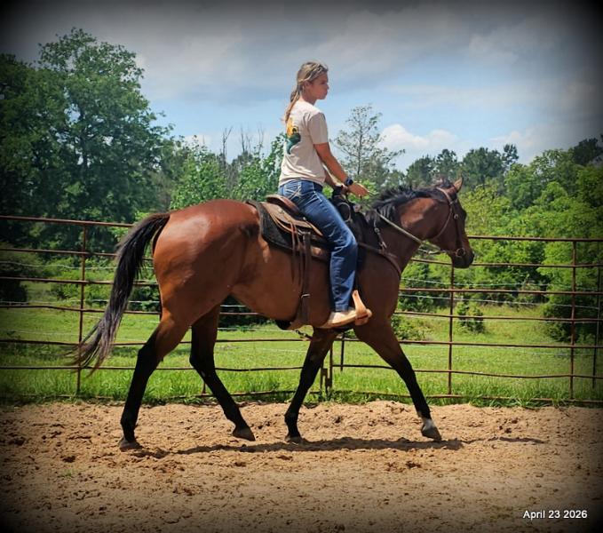 Darylslitlediablo (Diablo)